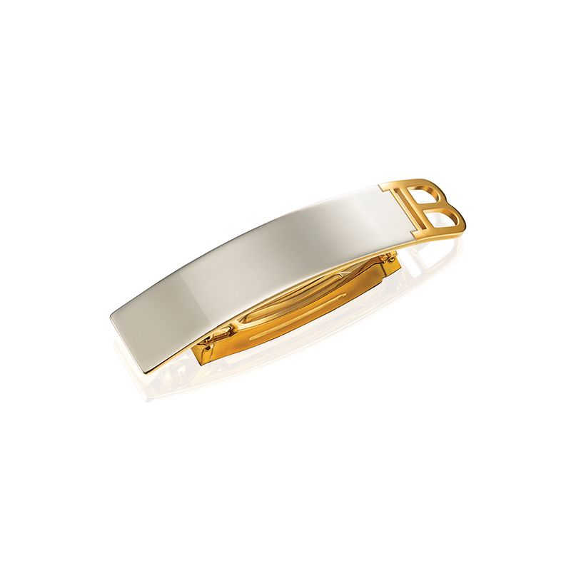 Barrette Pour Cheveux Medium SilverGold