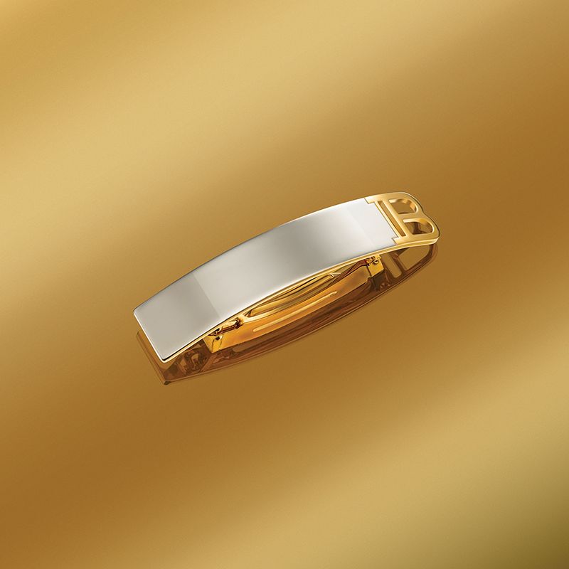 Barrette Pour Cheveux Medium SilverGold
