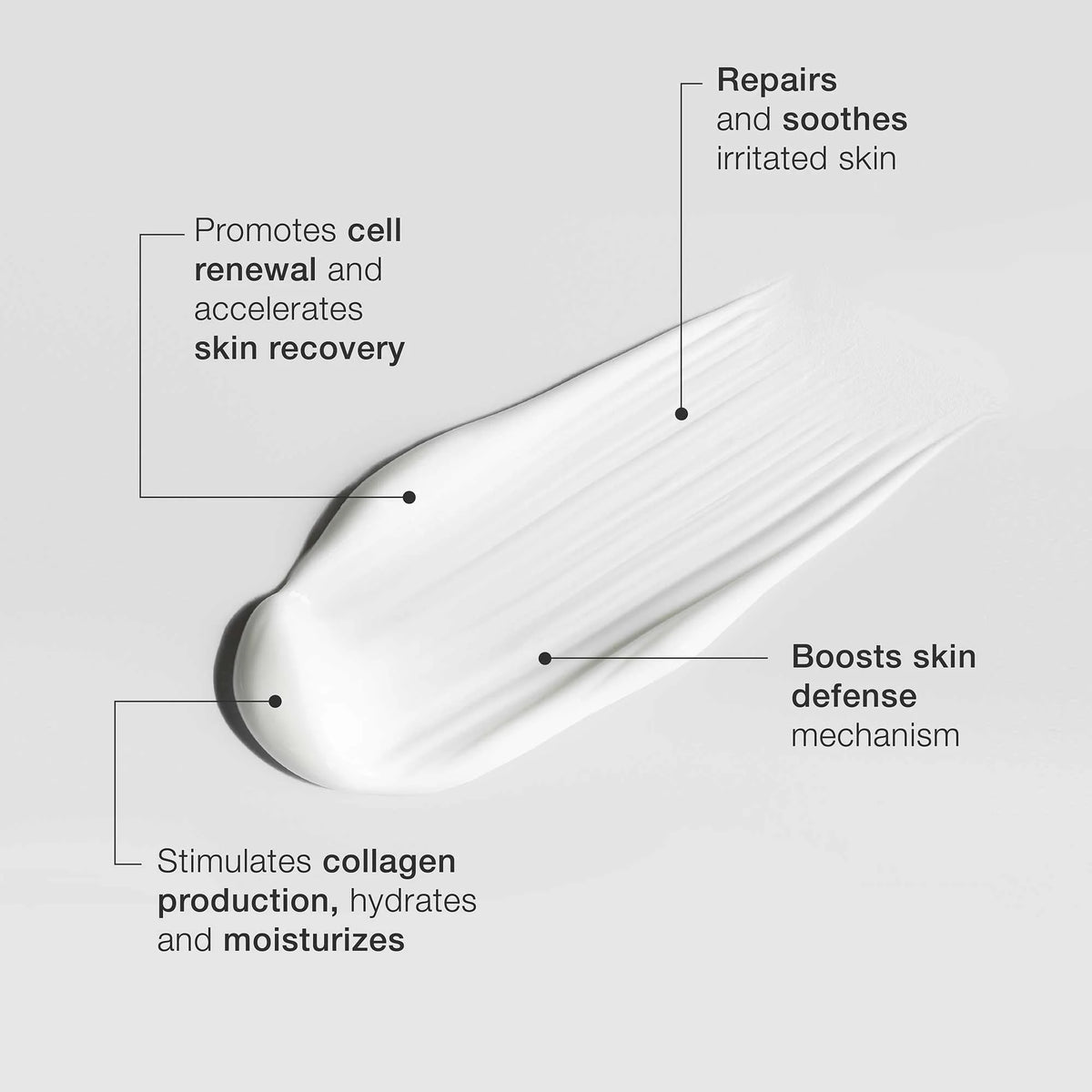 Skincode Regenerating Night Cream