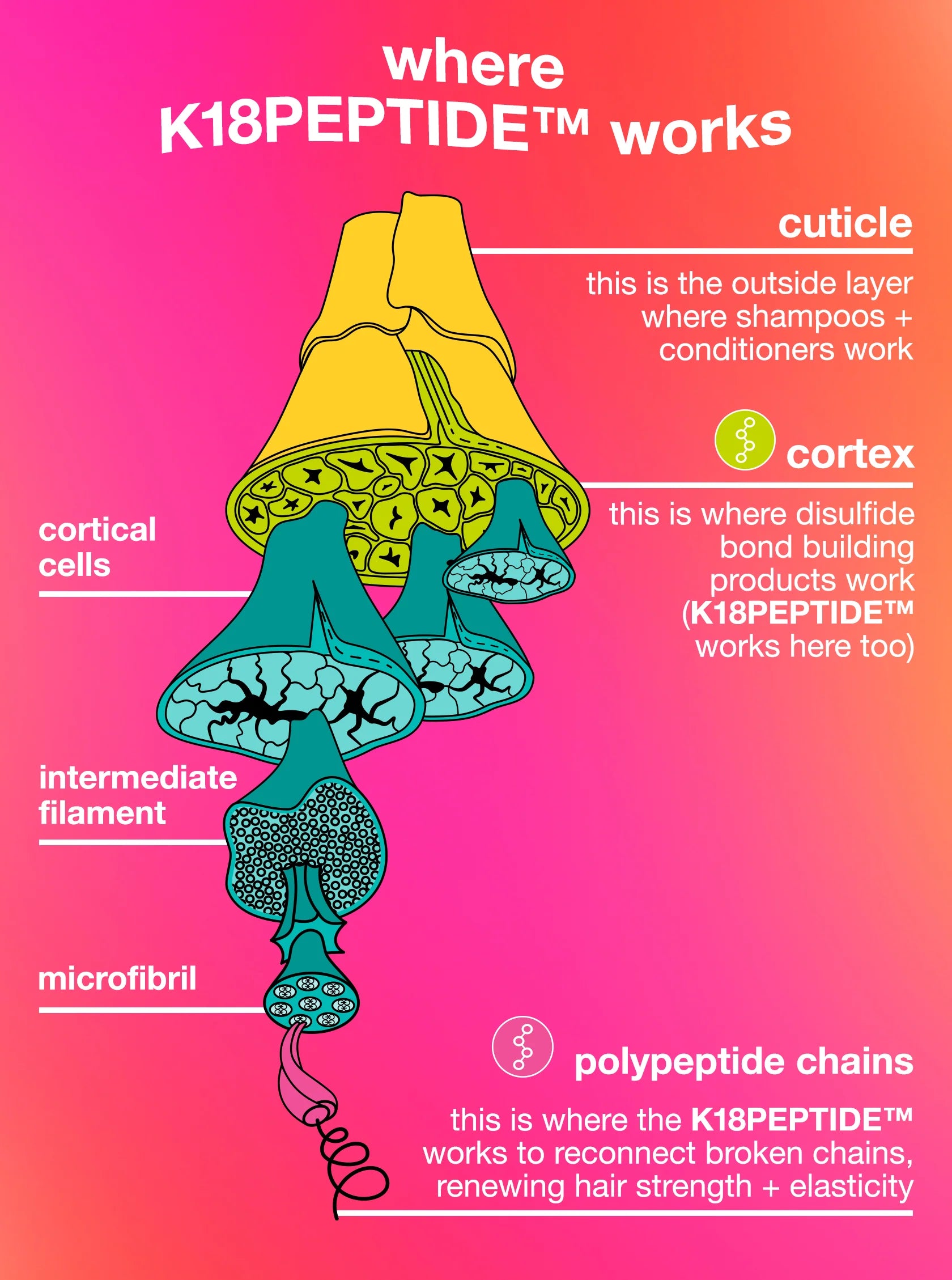 K18 future faves minis Gift Set