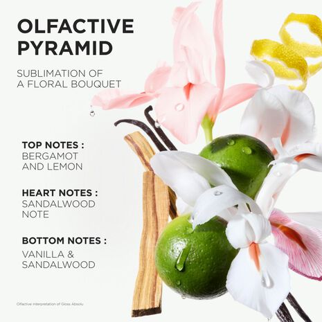 GLOSS ABSOLU FRIZZ-GLAZE CREAM