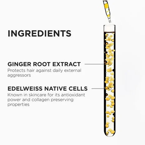 Genesis Luxury Holiday Gift Set